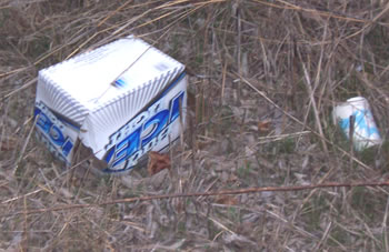 empty Bud Ice Light carton